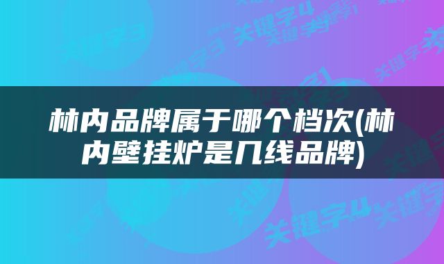 林内品牌属于哪个档次(林内壁挂炉是几线品牌)