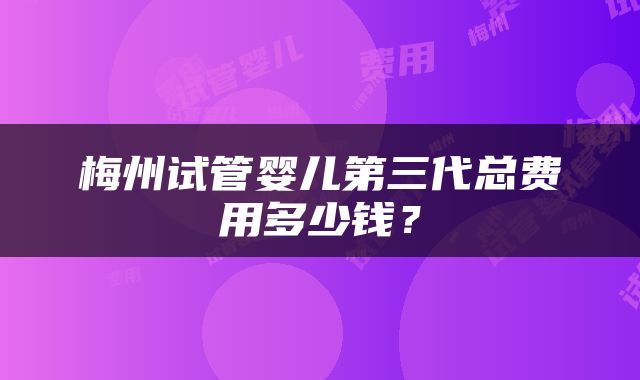 梅州试管婴儿第三代总费用多少钱？