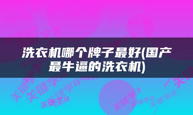 洗衣机哪个牌子最好(国产最牛逼的洗衣机)