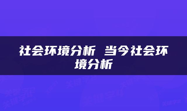 社会环境分析 当今社会环境分析