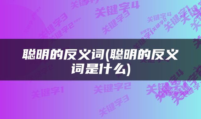 聪明的反义词(聪明的反义词是什么)