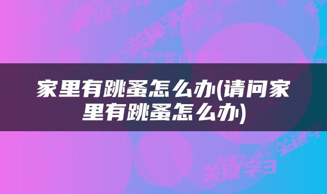 家里有跳蚤怎么办(请问家里有跳蚤怎么办)