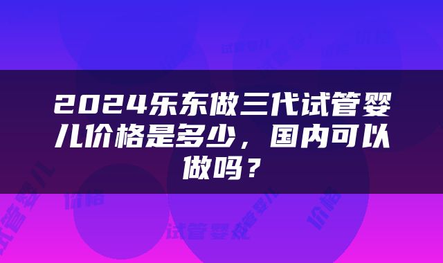 2024乐东做三代试管婴儿价格是多少，国内可以做吗？