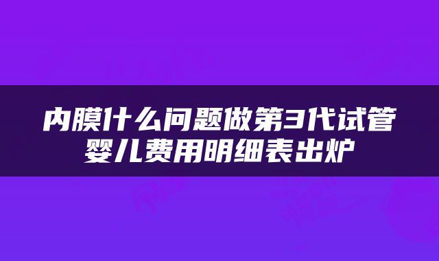 内膜什么问题做第3代试管婴儿费用明细表出炉