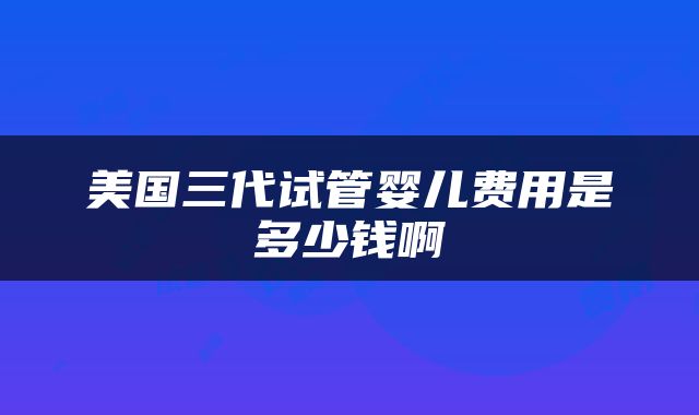 美国三代试管婴儿费用是多少钱啊