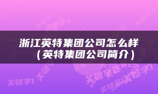 浙江英特集团公司怎么样（英特集团公司简介）