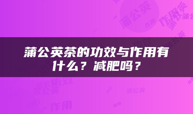 蒲公英茶的功效与作用有什么？减肥吗？