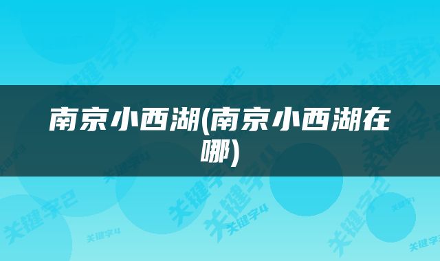 南京小西湖(南京小西湖在哪)