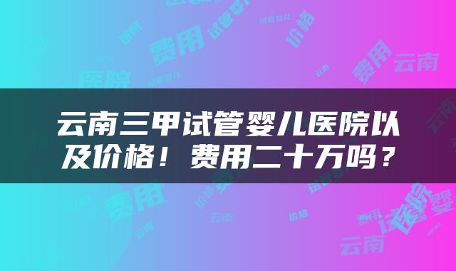 云南三甲试管婴儿医院以及价格！费用二十万吗？