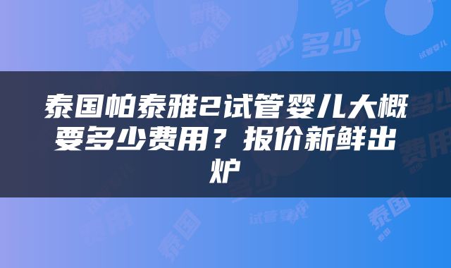 泰国帕泰雅2试管婴儿大概要多少费用？报价新鲜出炉