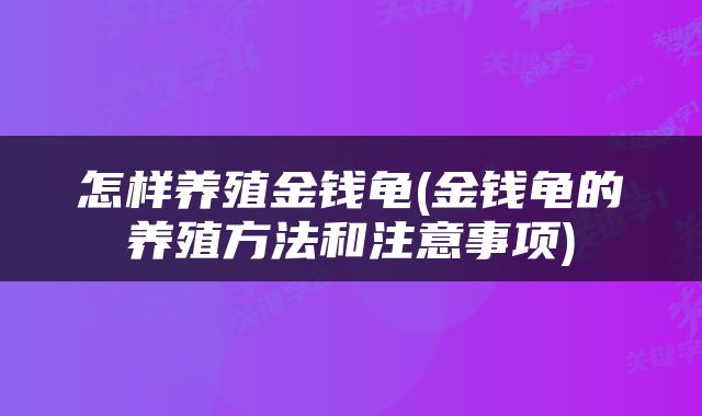 怎样养殖金钱龟(金钱龟的养殖方法和注意事项)