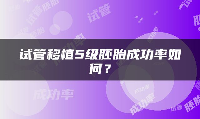 试管移植5级胚胎成功率如何？
