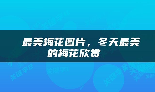  最美梅花图片，冬天最美的梅花欣赏 