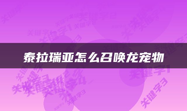 泰拉瑞亚怎么召唤龙宠物