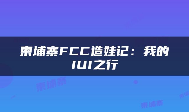 柬埔寨FCC造娃记：我的IUI之行