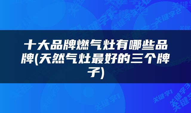 十大品牌燃气灶有哪些品牌(天然气灶最好的三个牌子)