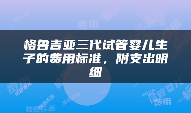 格鲁吉亚三代试管婴儿生子的费用标准，附支出明细