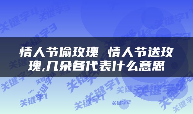 情人节偷玫瑰 情人节送玫瑰,几朵各代表什么意思