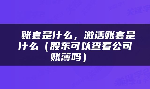  账套是什么，激活账套是什么（股东可以查看公司账簿吗） 