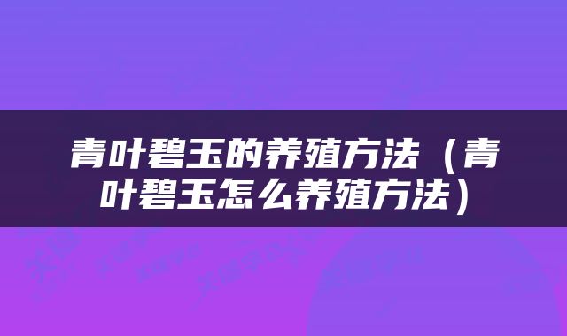 青叶碧玉的养殖方法（青叶碧玉怎么养殖方法）