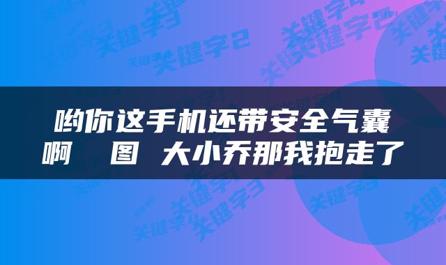 哟你这手机还带安全气囊啊 囧图 大小乔那我抱走了