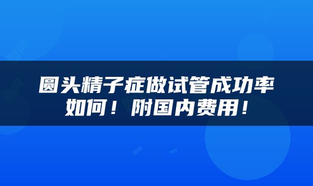 圆头精子症做试管成功率如何！附国内费用！