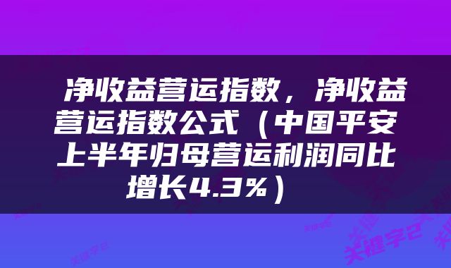  净收益营运指数，净收益营运指数公式（中国平安上半年归母营运利润同比增长4.3%） 