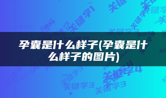 孕囊是什么样子(孕囊是什么样子的图片)
