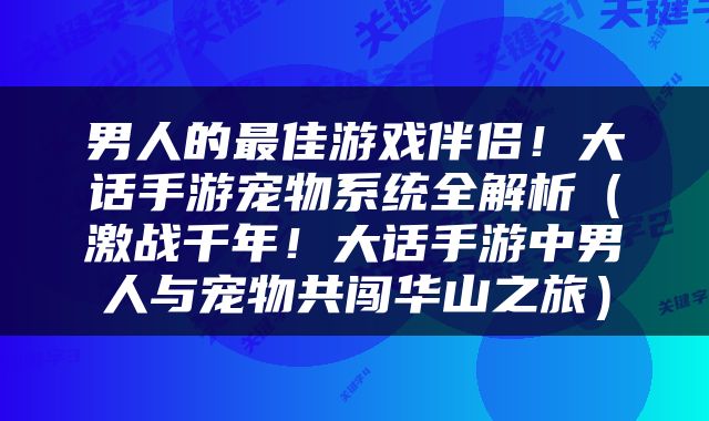 男人的最佳游戏伴侣！大话手游宠物系统全解析（激战千年！大话手游中男人与宠物共闯华山之旅）