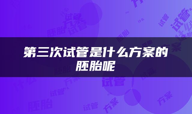 第三次试管是什么方案的胚胎呢