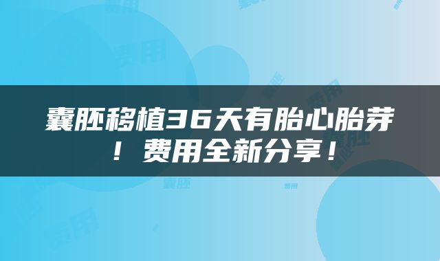 囊胚移植36天有胎心胎芽！费用全新分享！