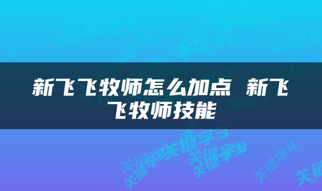 新飞飞牧师怎么加点 新飞飞牧师技能