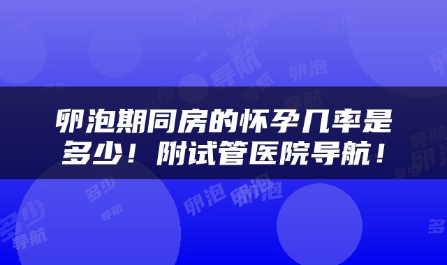 卵泡期同房的怀孕几率是多少！附试管医院导航！