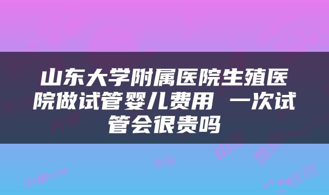 山东大学附属医院生殖医院做试管婴儿费用 一次试管会很贵吗