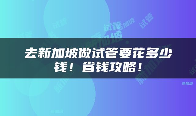 去新加坡做试管要花多少钱！省钱攻略！