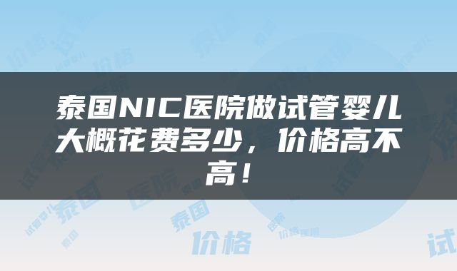 泰国NIC医院做试管婴儿大概花费多少，价格高不高！