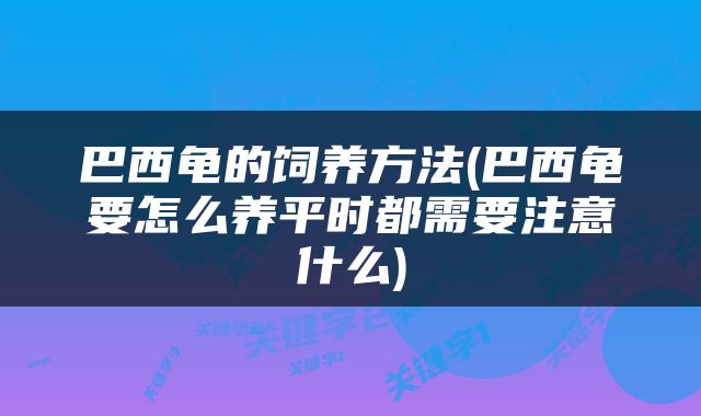巴西龟的饲养方法(巴西龟要怎么养平时都需要注意什么)
