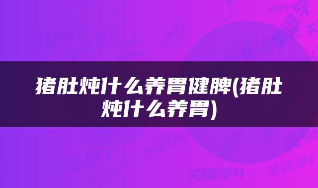 猪肚炖什么养胃健脾(猪肚炖什么养胃)