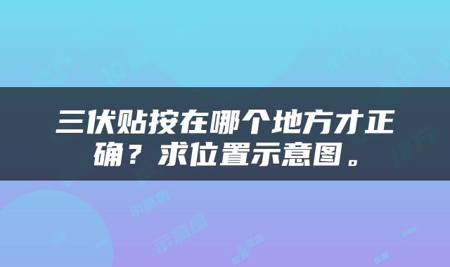 三伏贴按在哪个地方才正确？求位置示意图。