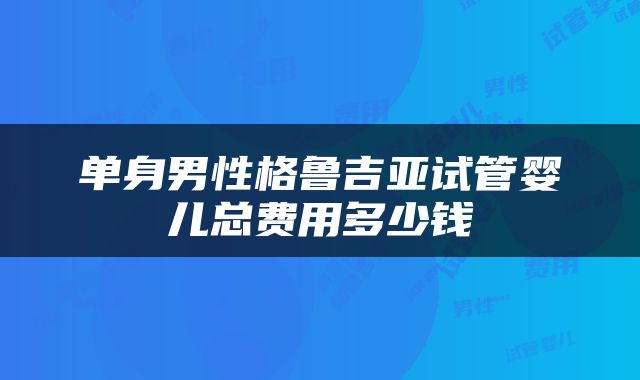 单身男性格鲁吉亚试管婴儿总费用多少钱