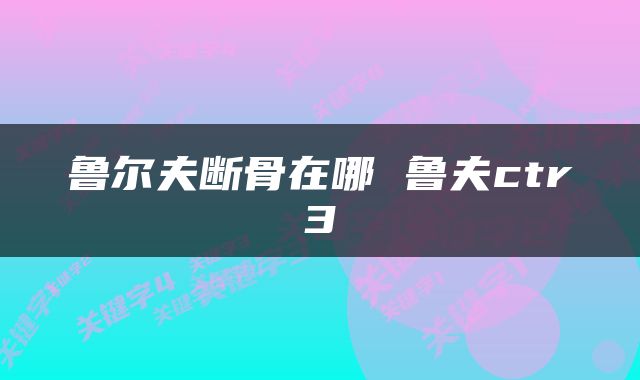 鲁尔夫断骨在哪 鲁夫ctr3