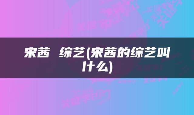 宋茜 综艺(宋茜的综艺叫什么)