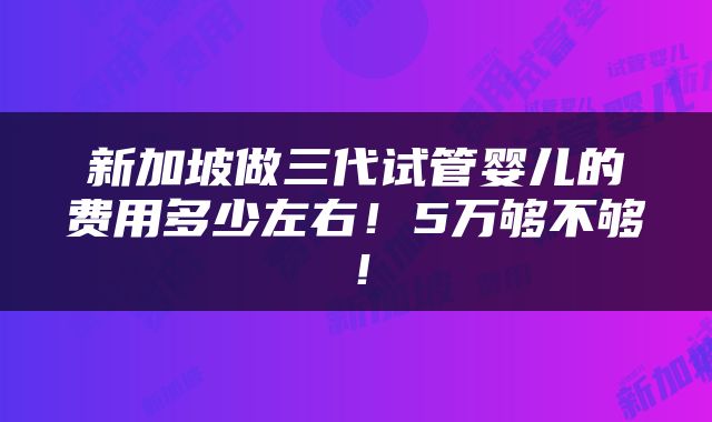 新加坡做三代试管婴儿的费用多少左右！5万够不够！