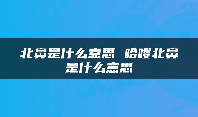北鼻是什么意思 哈喽北鼻是什么意思