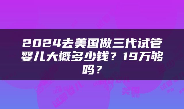 2024去美国做三代试管婴儿大概多少钱？19万够吗？