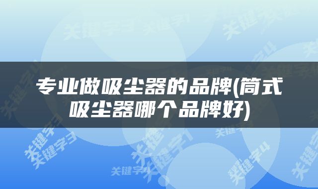 专业做吸尘器的品牌(筒式吸尘器哪个品牌好)