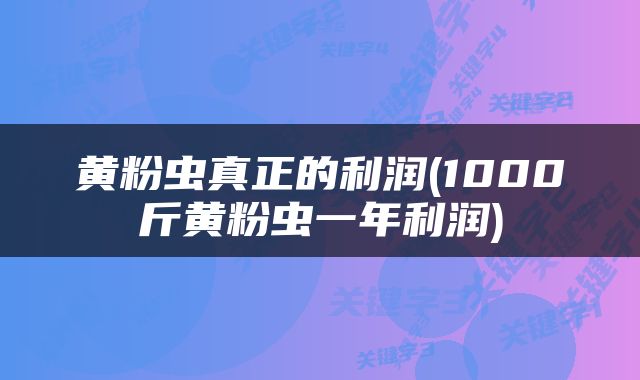 黄粉虫真正的利润(1000斤黄粉虫一年利润)