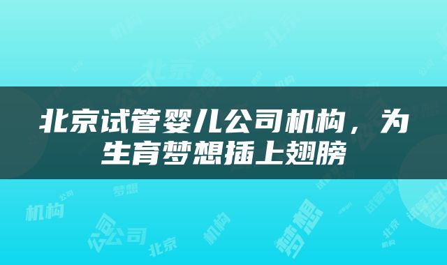 北京试管婴儿公司机构，为生育梦想插上翅膀