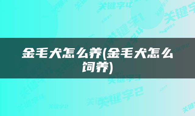 金毛犬怎么养(金毛犬怎么饲养)