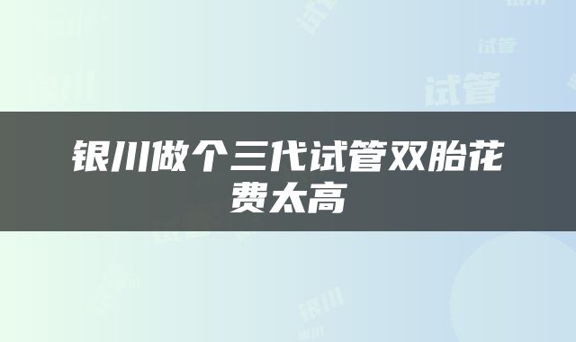 银川做个三代试管双胎花费太高
